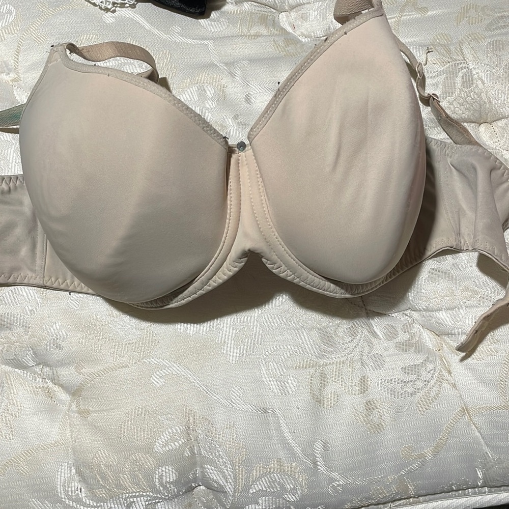 Fantasil bra